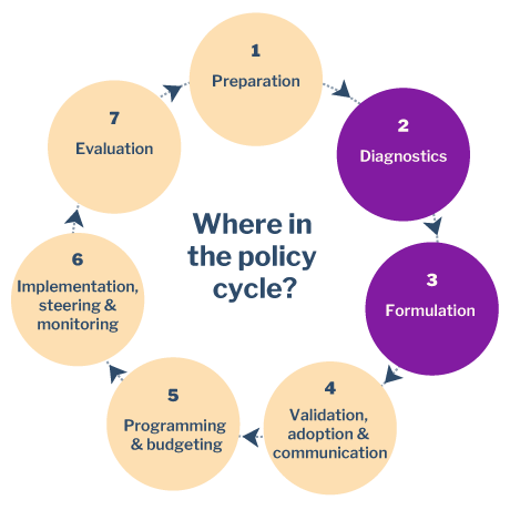 d_diagnostic_formulation